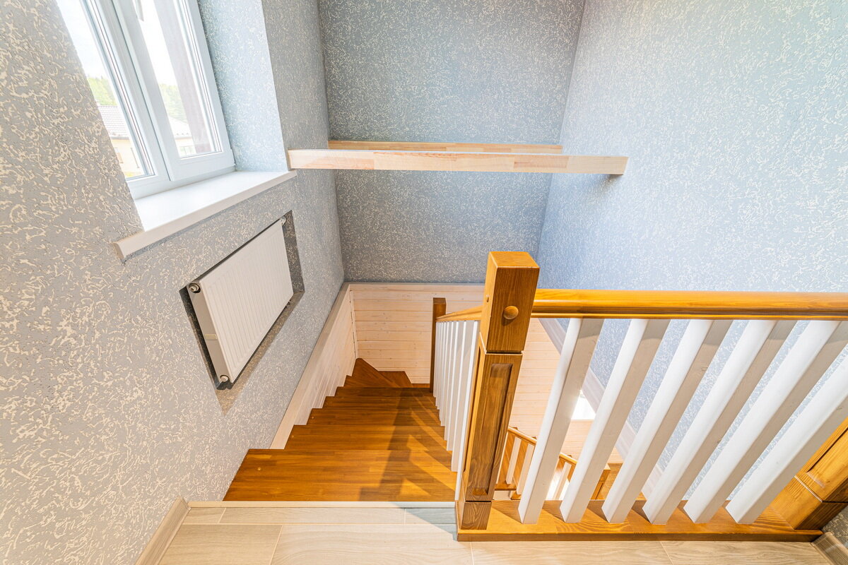 Фото Дельфин