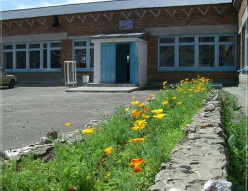Общеобразовательная школа МКОУ Сузунская СОШ № 1, Новосибирская область, фото
