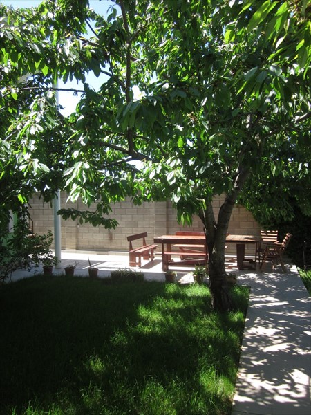 Фото Добрый шкипер