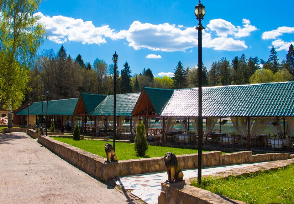 Фото Лесная сказка