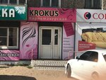 Krokus (Krasnoflotskaya ulitsa, 40), hairdresser