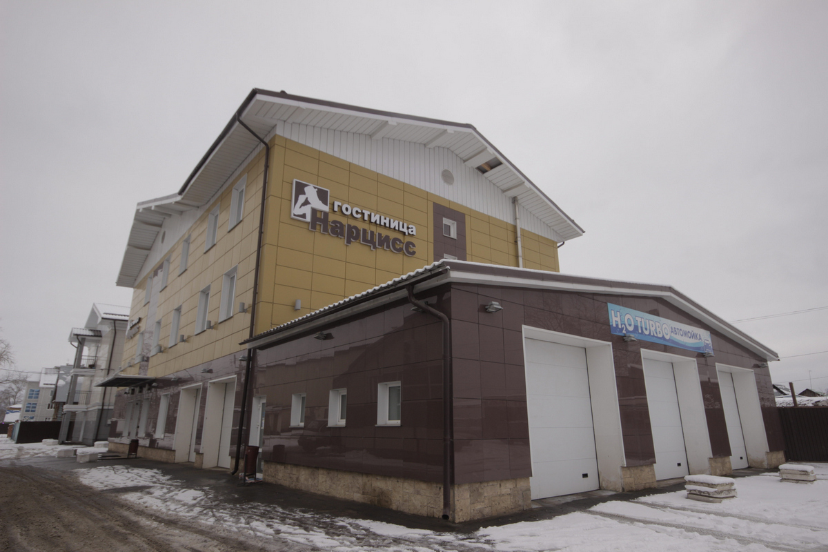 Фото Нарцисс