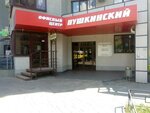 Пушкинский (Pushkina Street, 229), business center