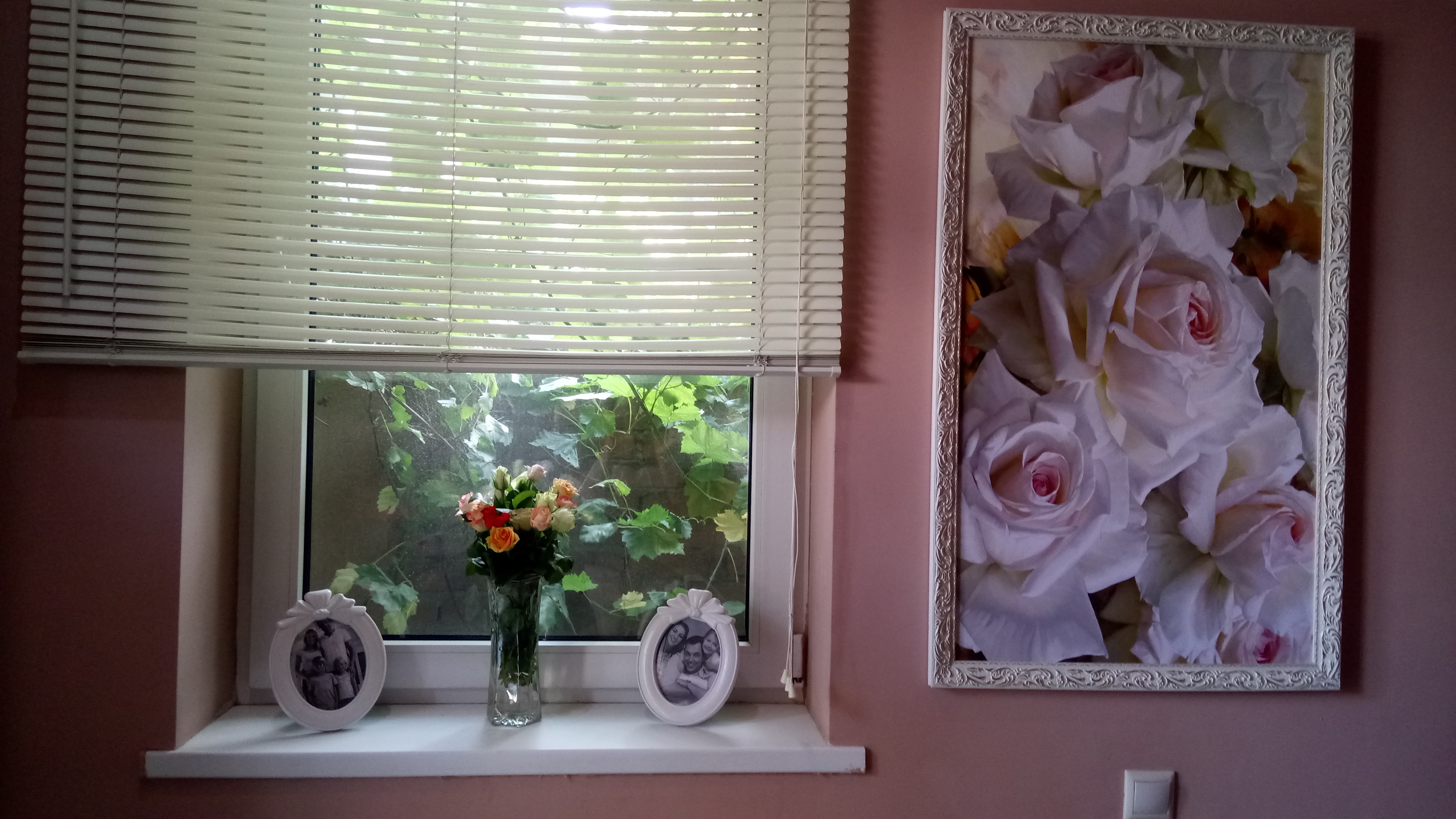 Фото Абрикос