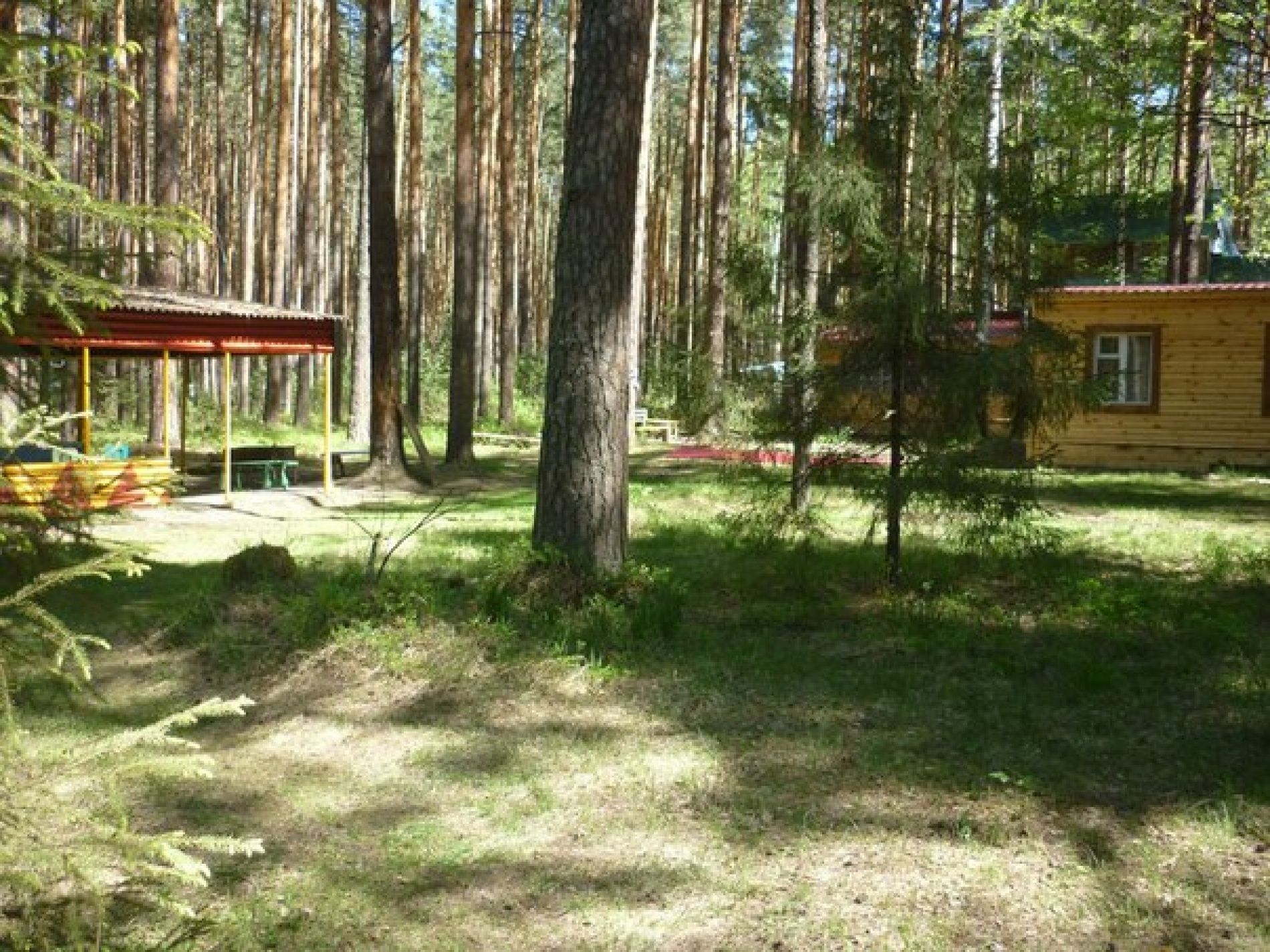 Фото Теремки