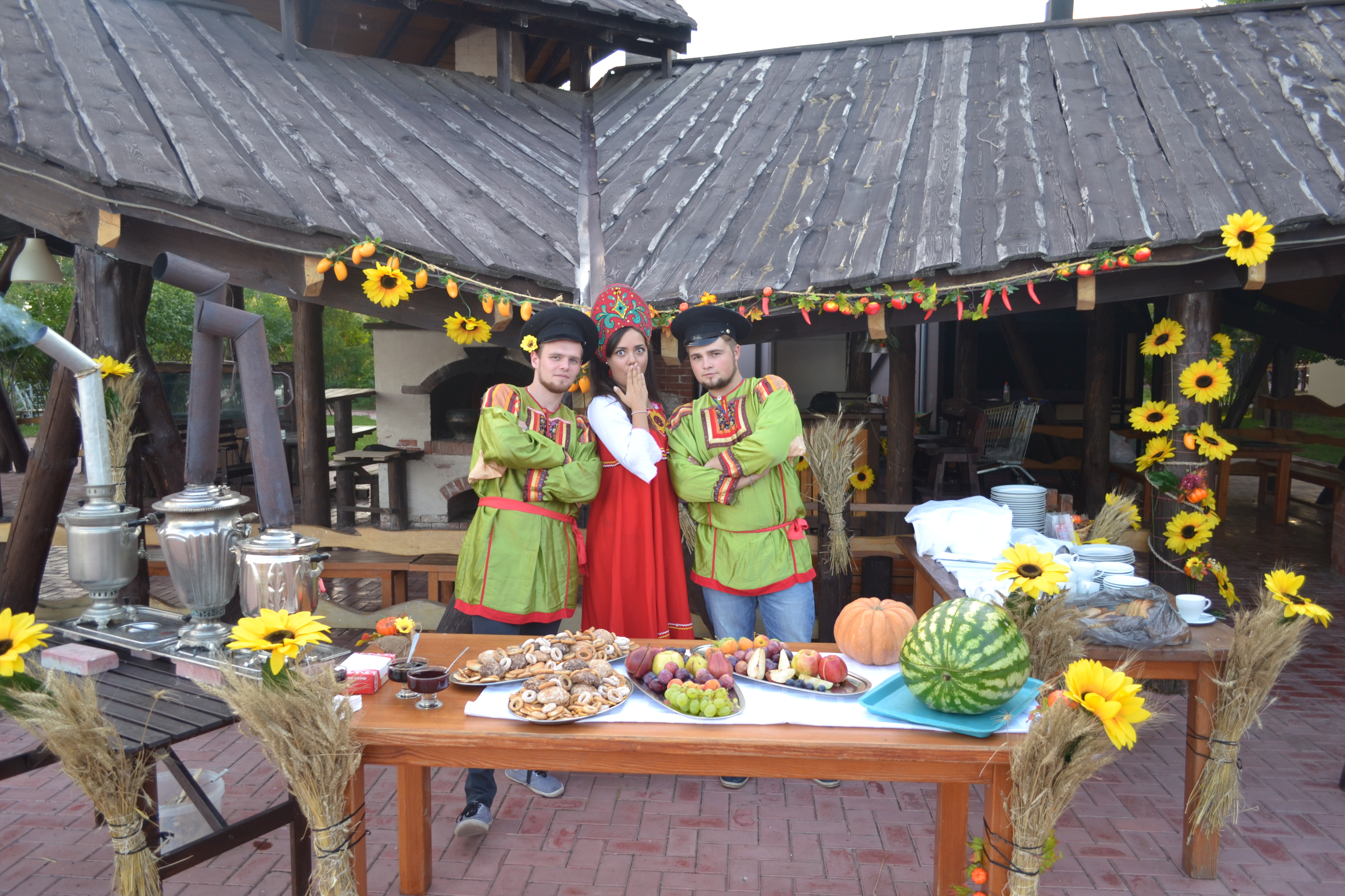 Фото Подсолнух