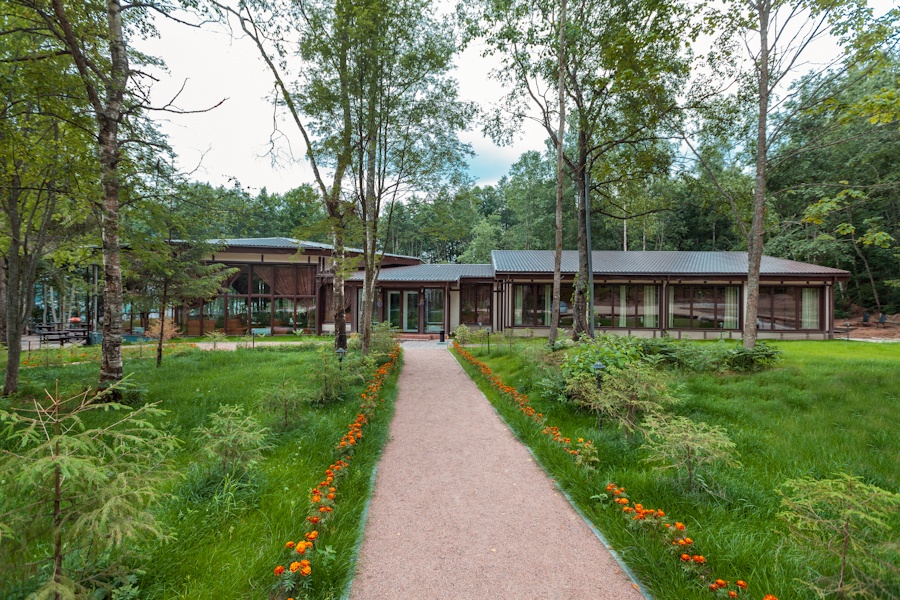 Фото Драгунский ручей