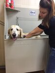 Hvostik Grooming Studio (Sovetskaya Street, 86) ، صالون حيوانات أليفة