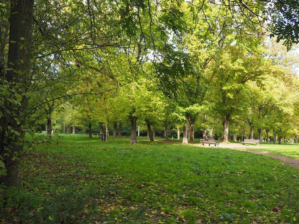 Фото Soggiorno Nomentana 875