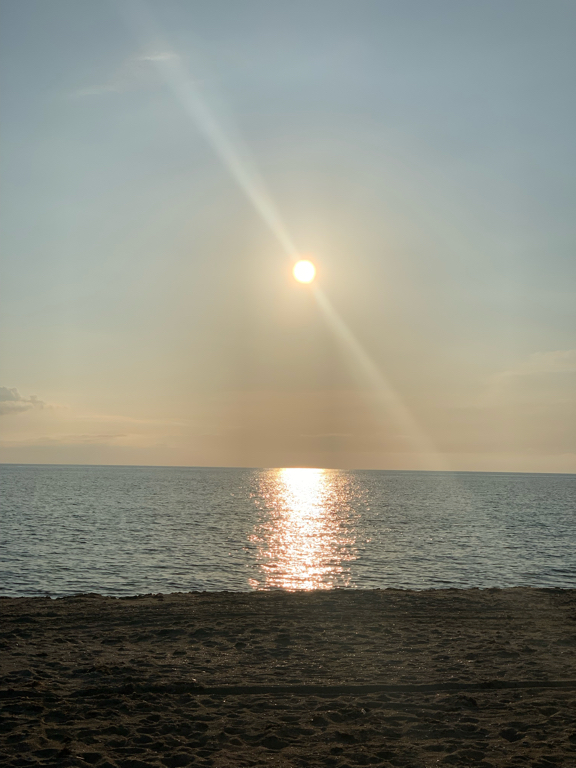 Фото Сантолина