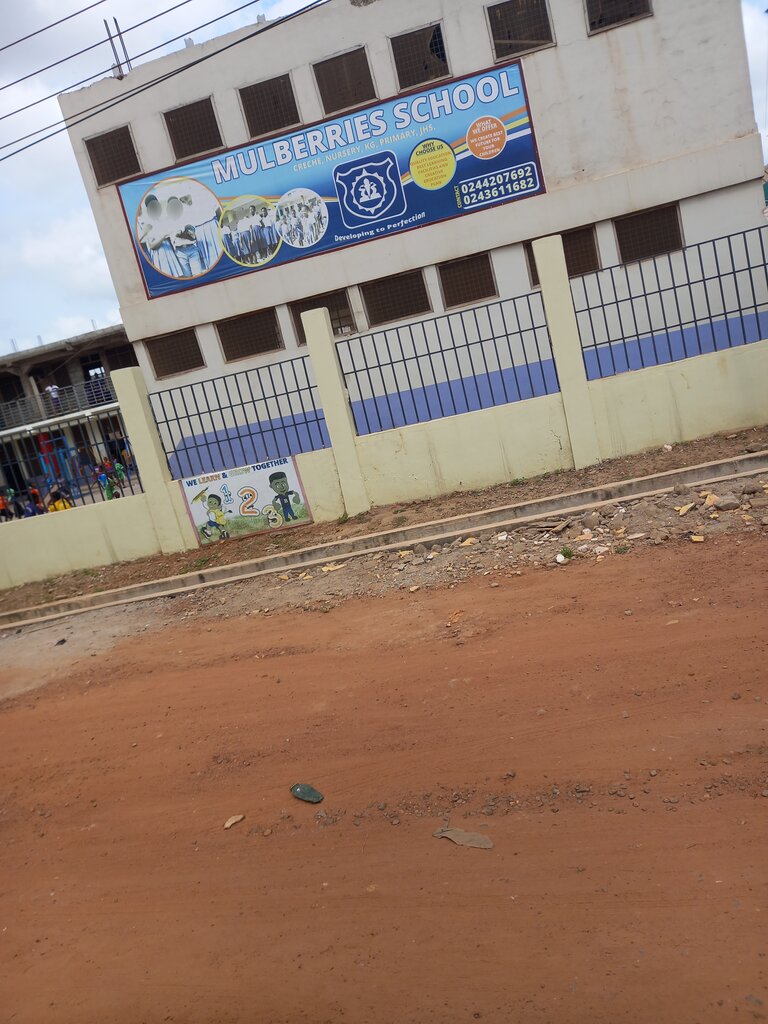 School Mulberries International School, Earth, photo