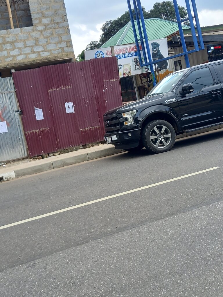 Pet shop Wallace kemel, Accra, photo