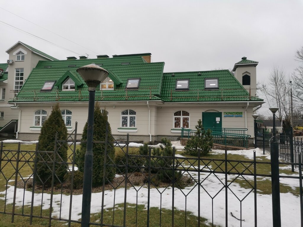 Children's developmental center Garmoniya, detsky tsentr, Pskov, photo