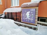 Белый кролик (rabochiy posyolok Krasnoobsk, 6-y mikrorayon, 51) ، تنظيم فعاليات الأطفال