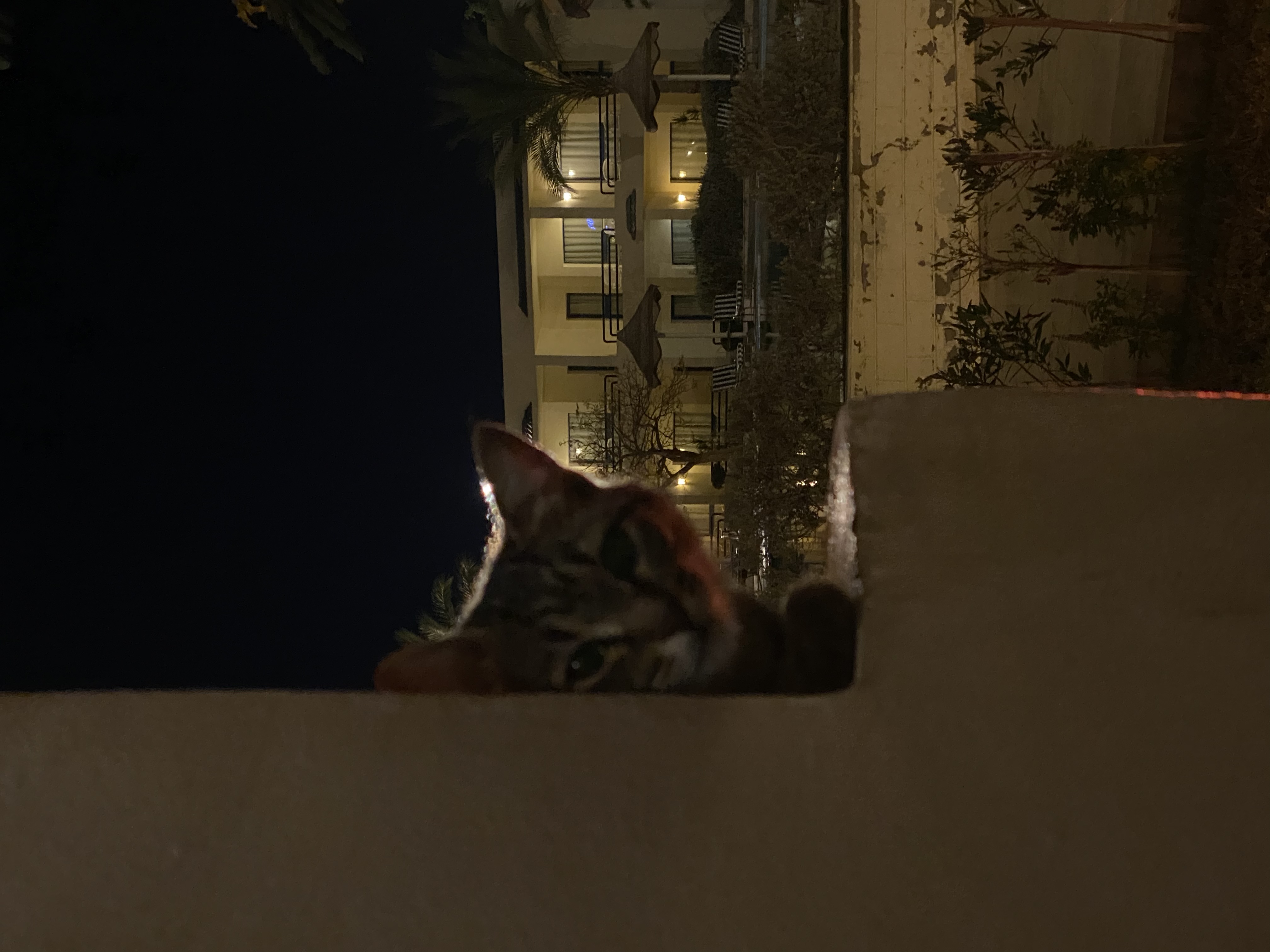 Фото Cataract Sharm Resort