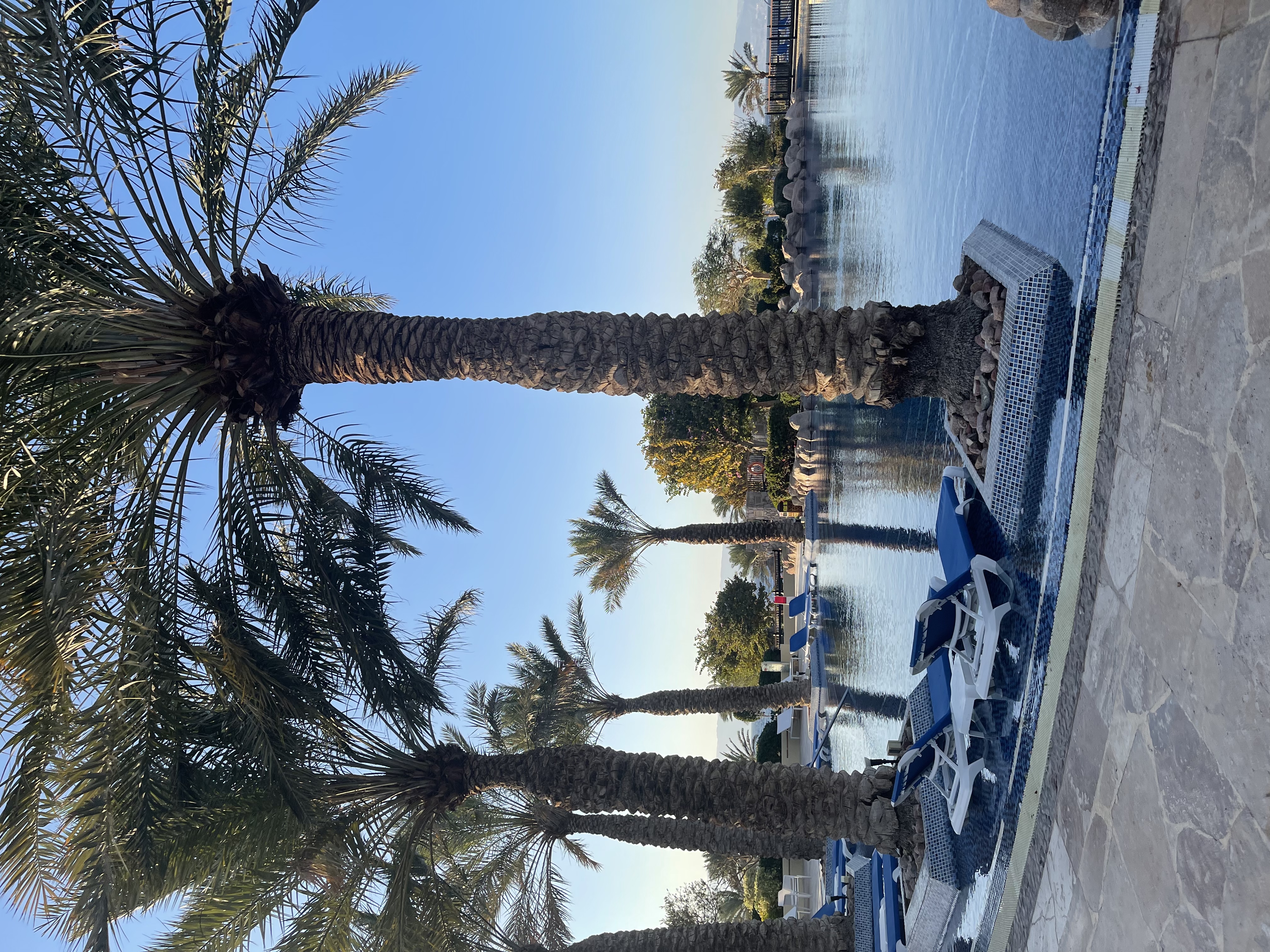 Фото Movenpick Resort & SPA Tala Bay Aqaba