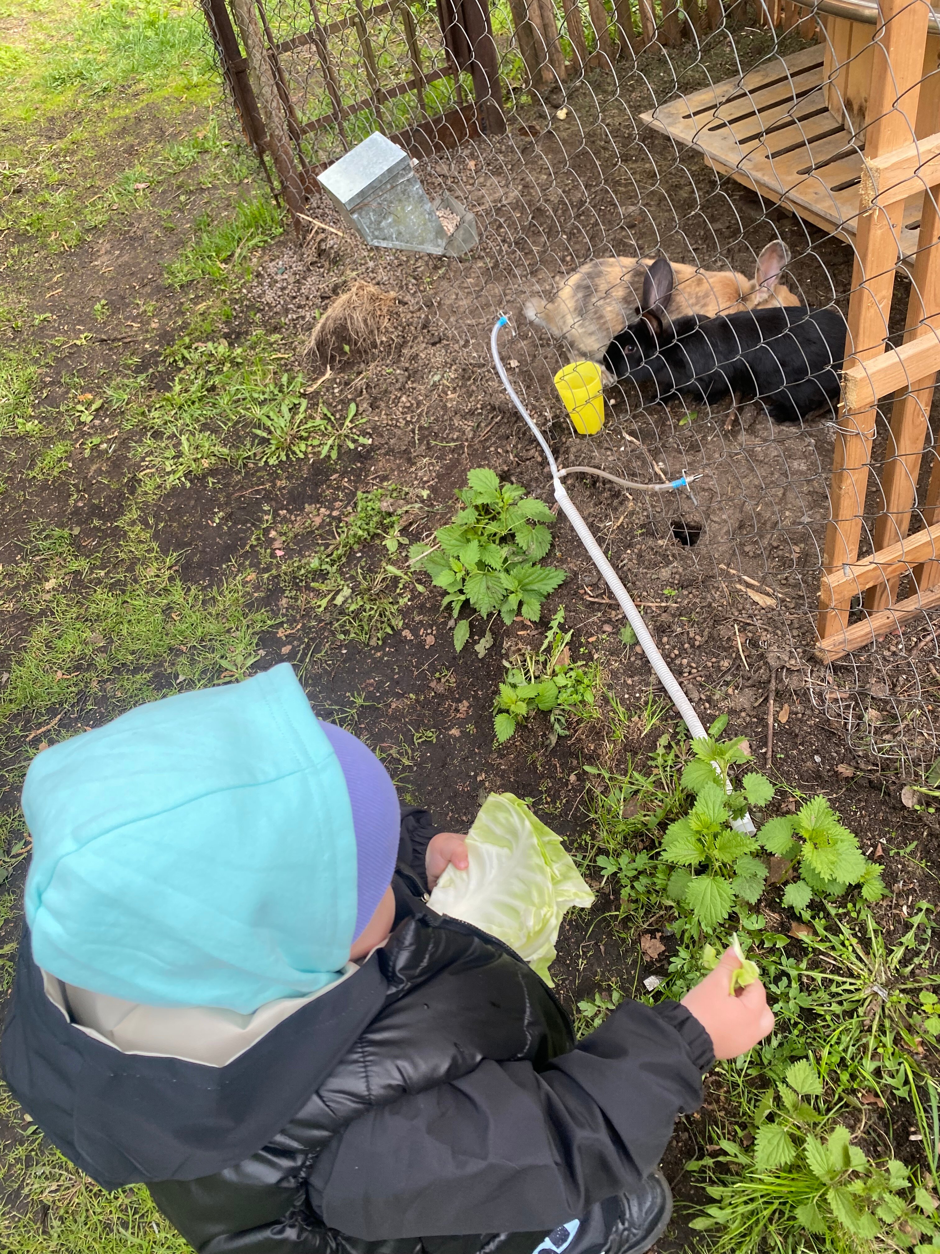 Фото Дом у озера