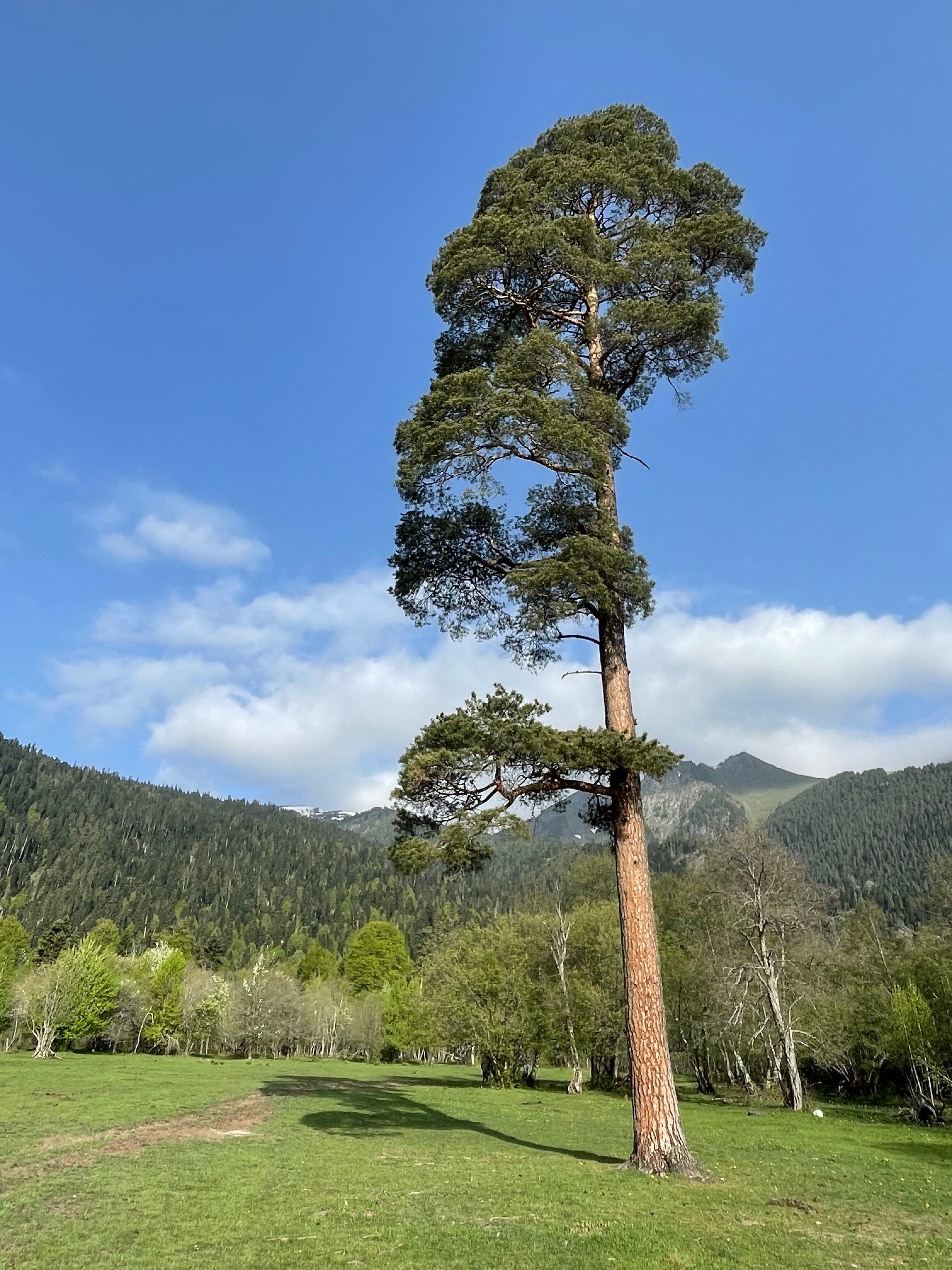 Фото Хижина