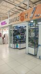 Electronic goods store (Penza, Antonova Street, 18В), light engineering