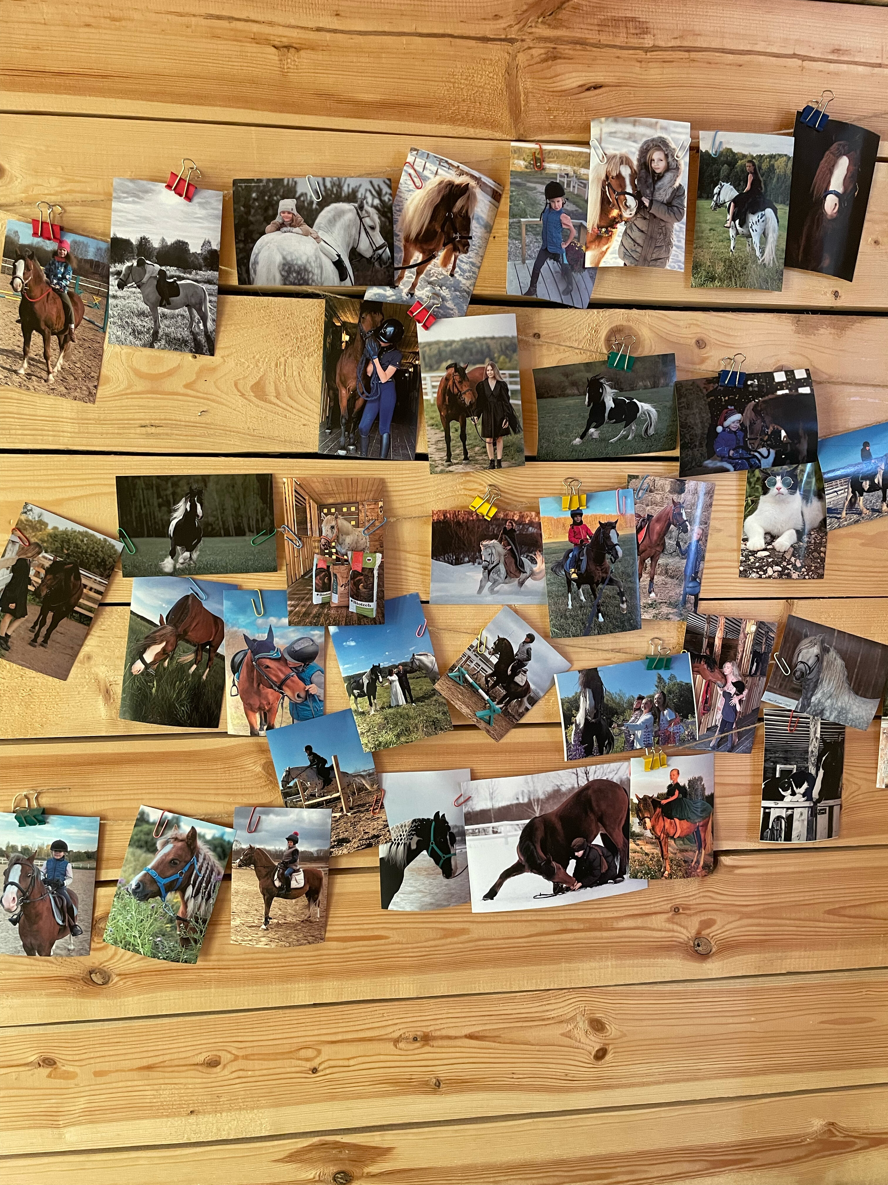 Фото Лаки Лейк