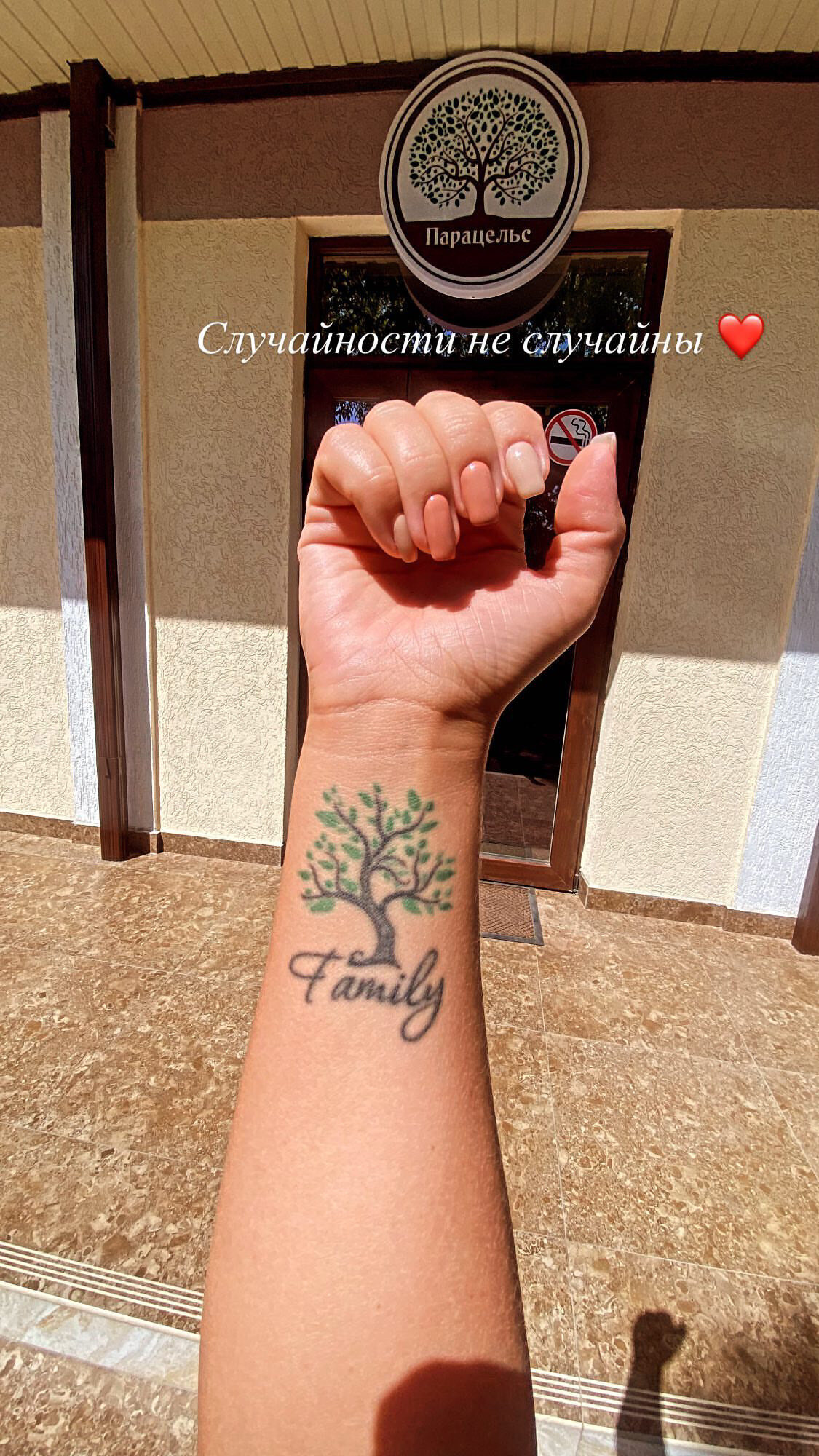 Фото Парацельс