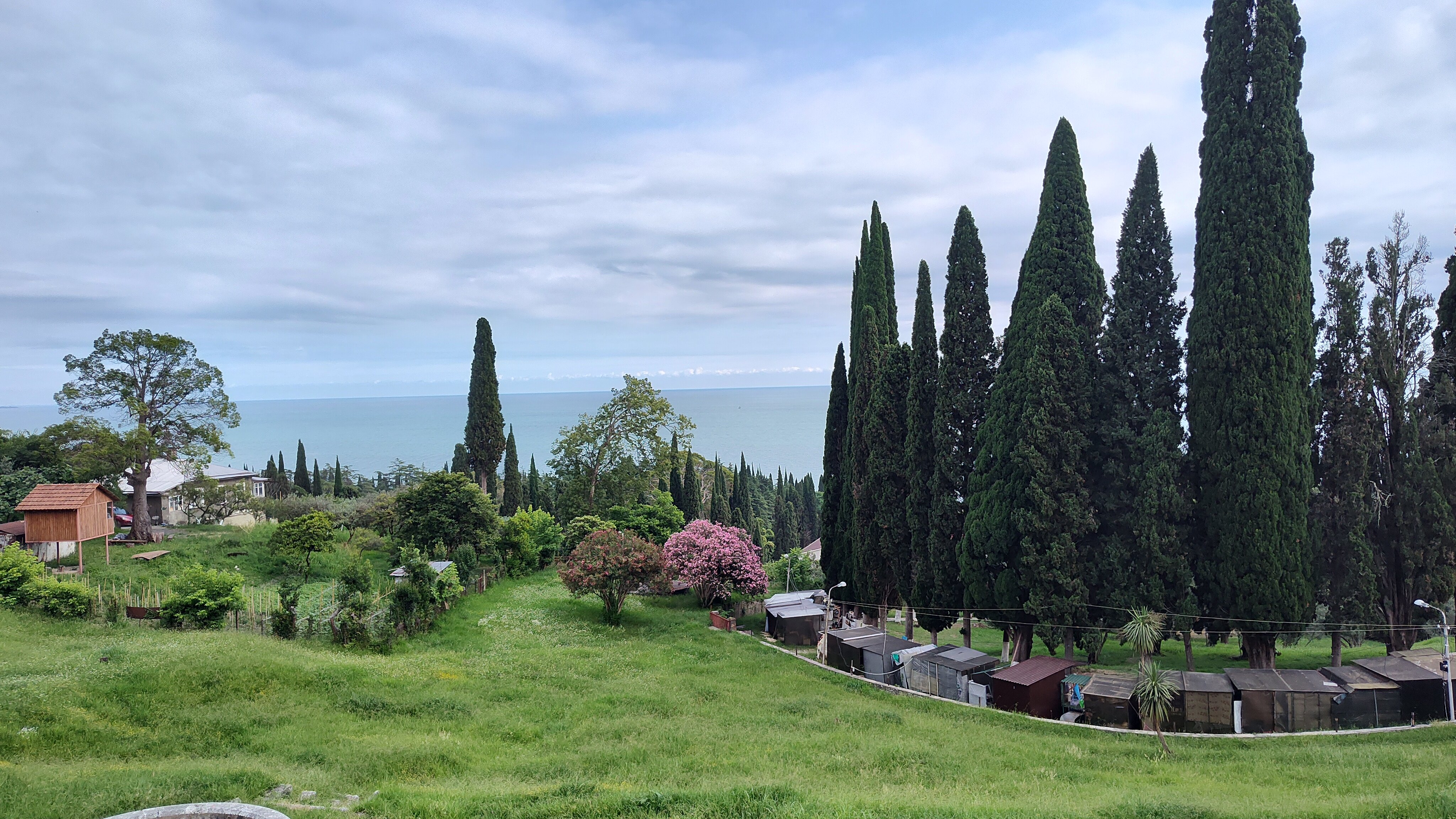 Фото Континент Гагра