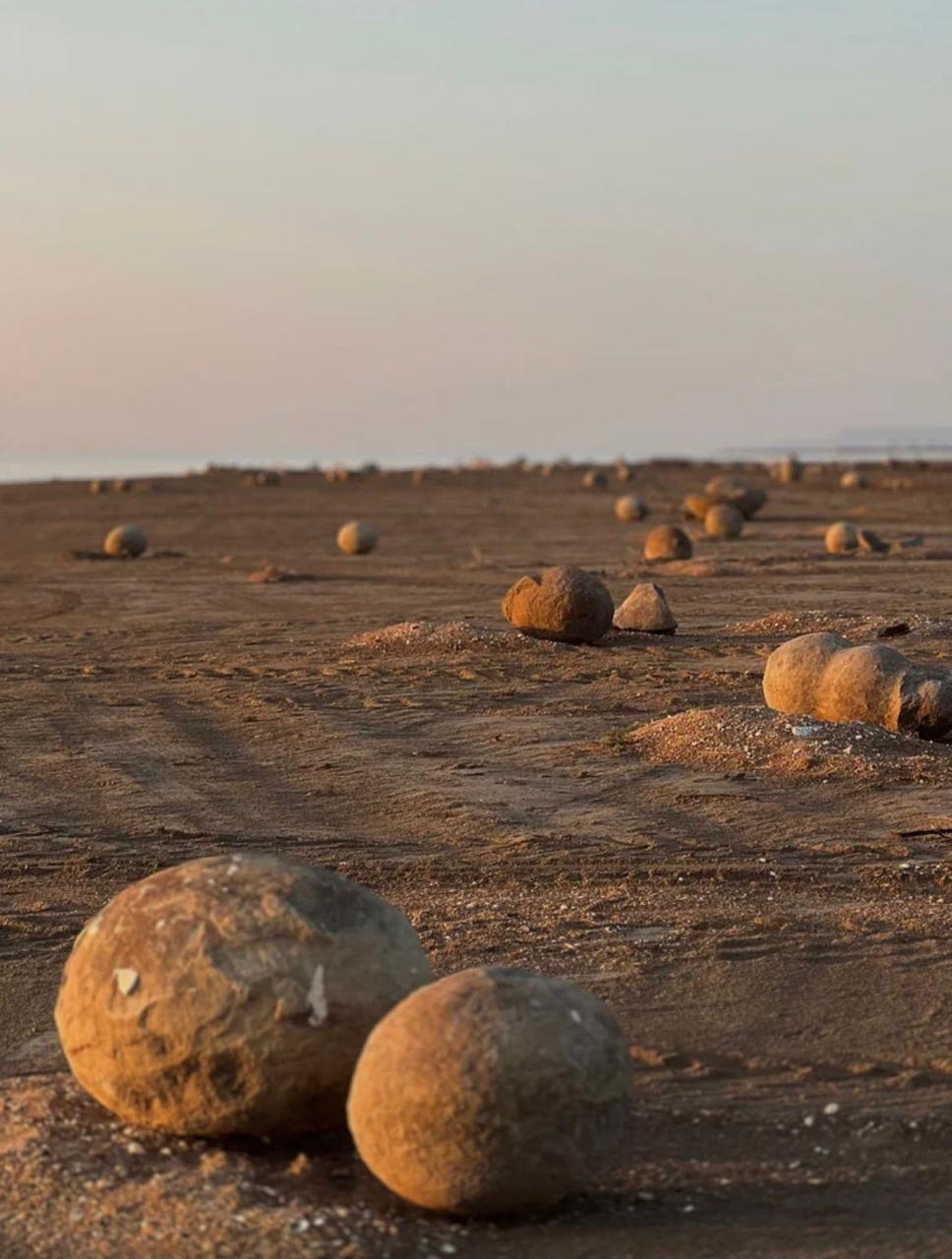 Фото Каспий хаус