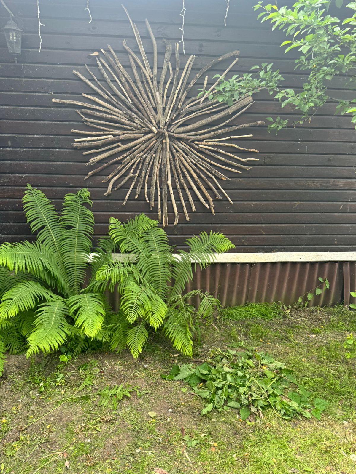 Фото Маруся