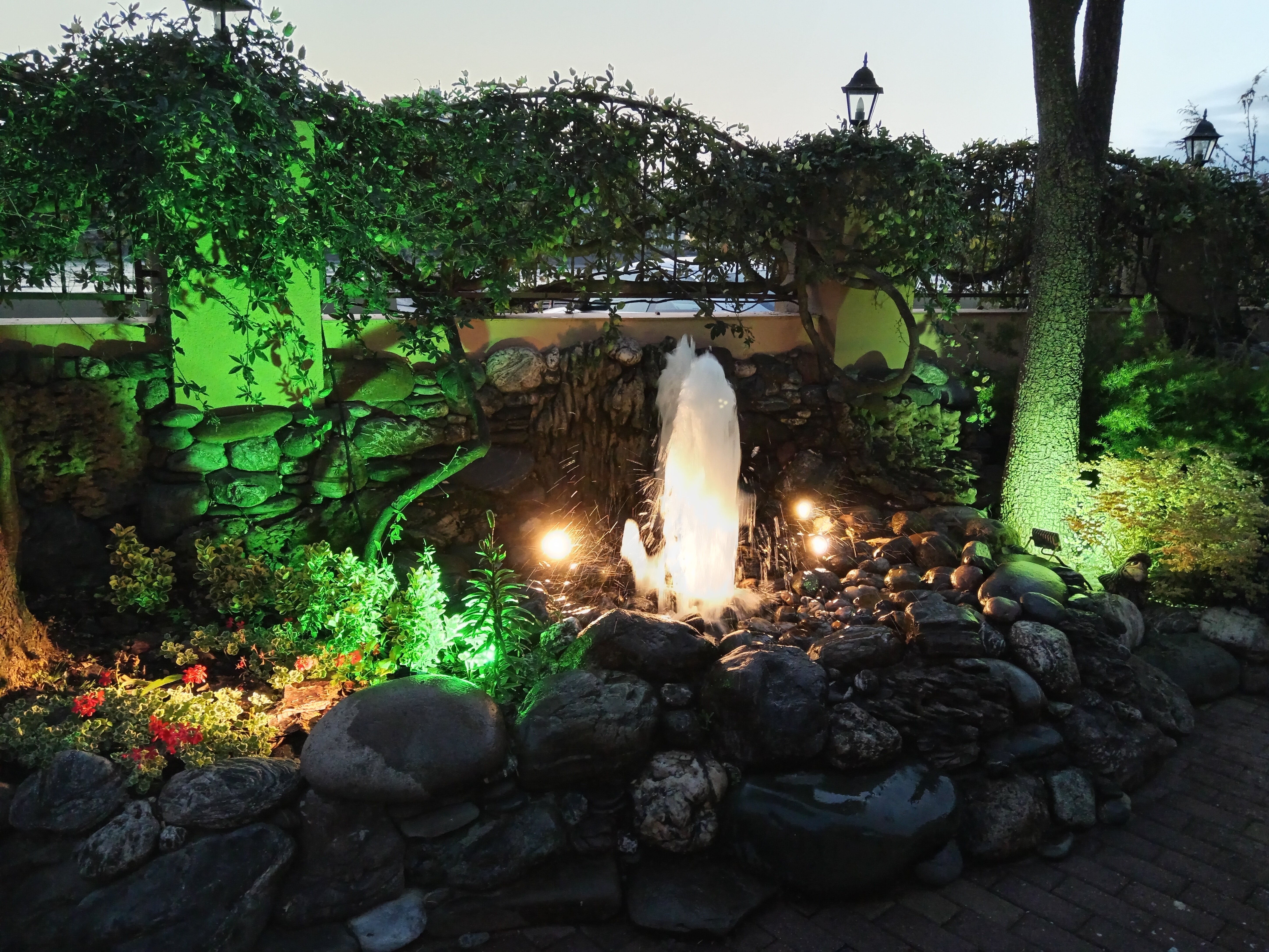 Фото Страна магнолий