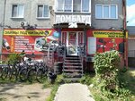 Император плюс (ulitsa Telmana, 98А), pawnshop