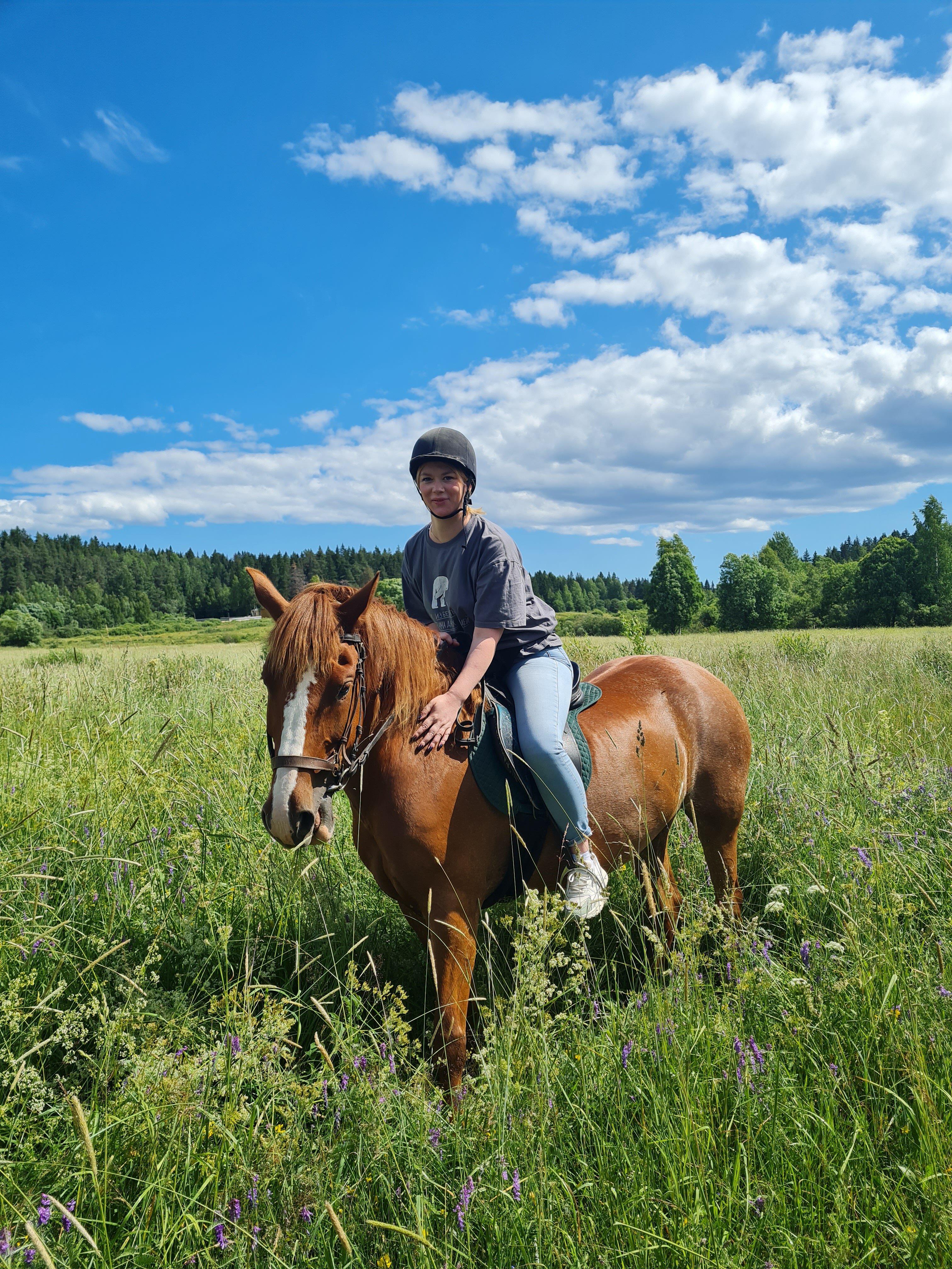 Фото Конюшенный двор