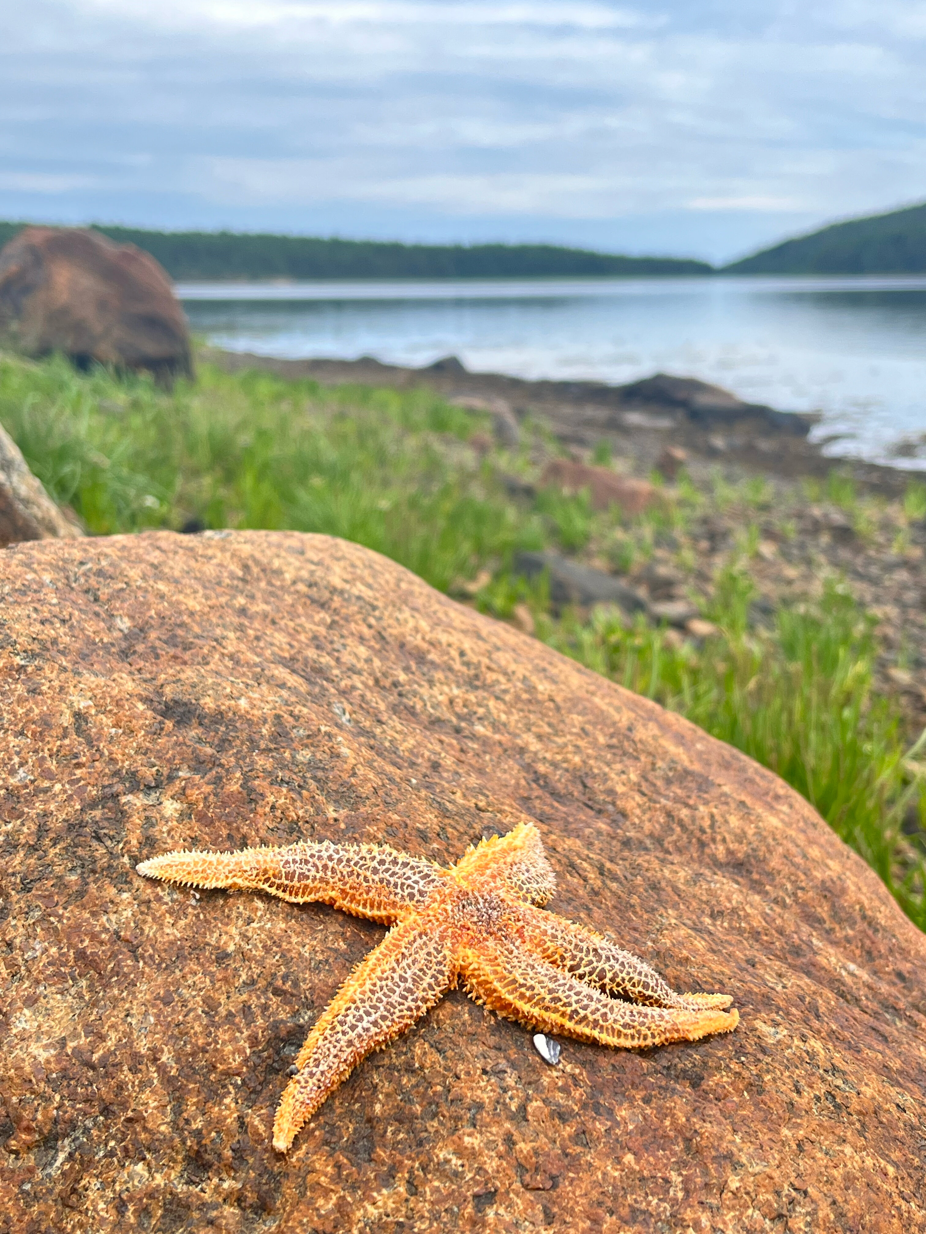 Фото Точка Притяжения