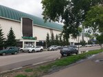 Victoria (Zhambyl Zhabayev Street, 190), compañía de seguros