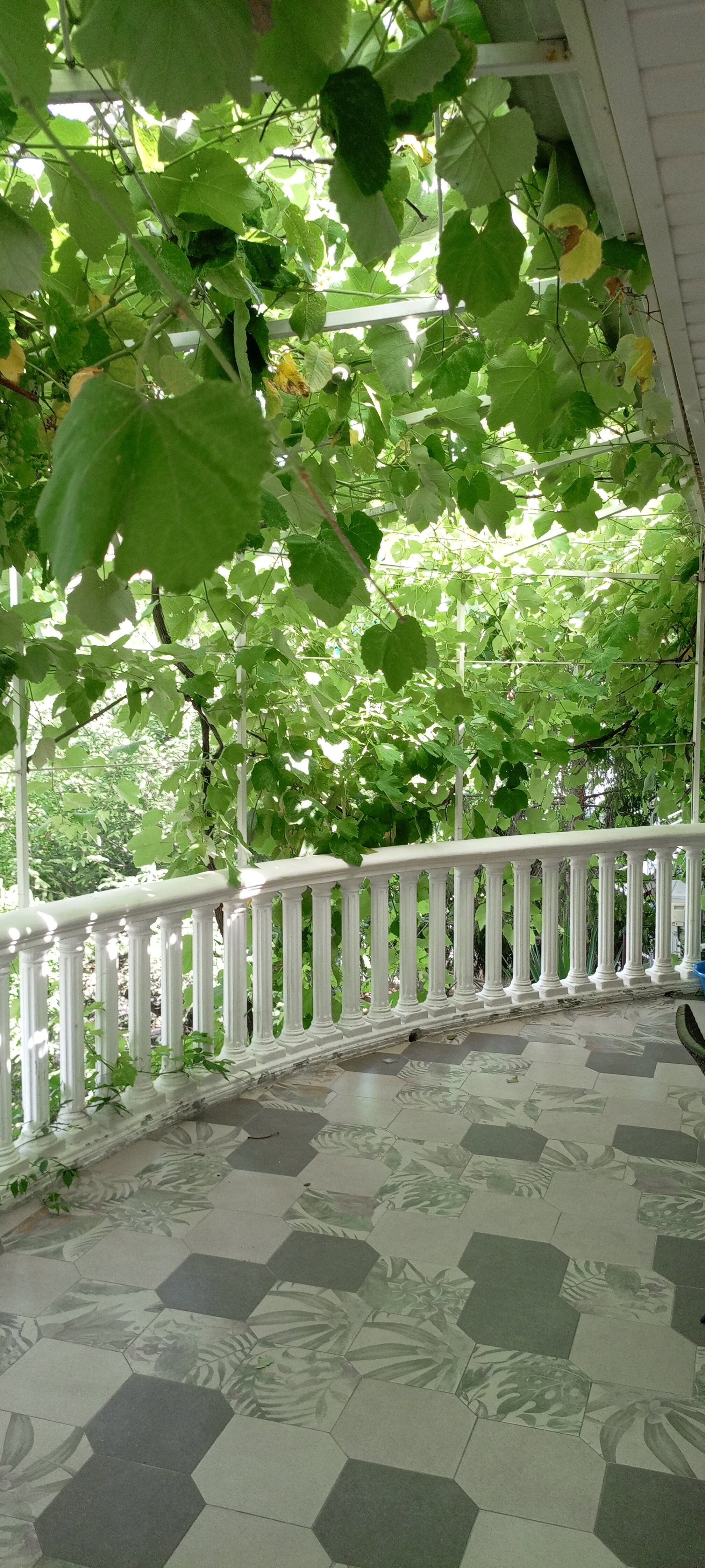 Фото Парфенон