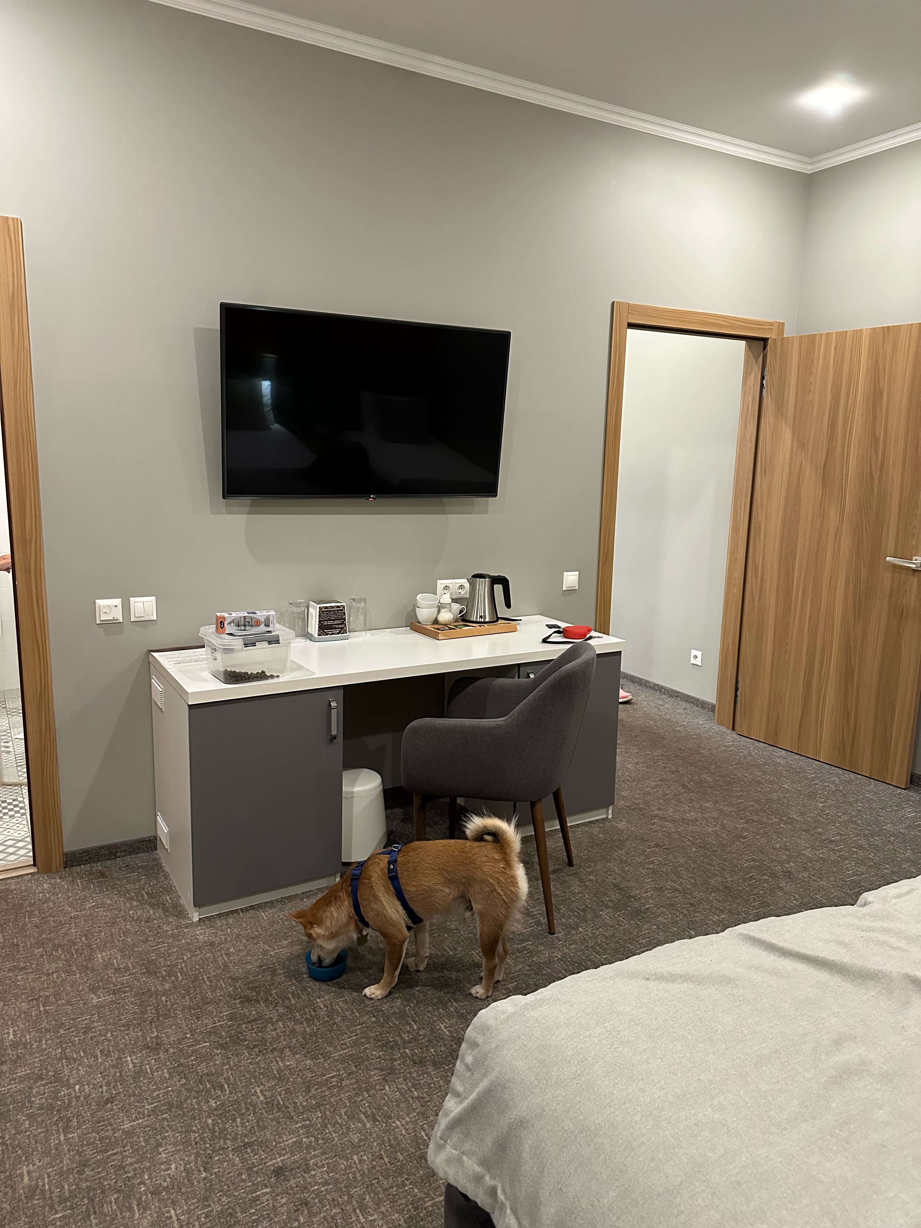 Фото Шертон