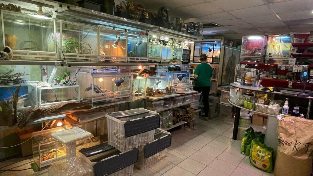 Зоомагазин Ноев Ковчег, Набережные Челны, фото