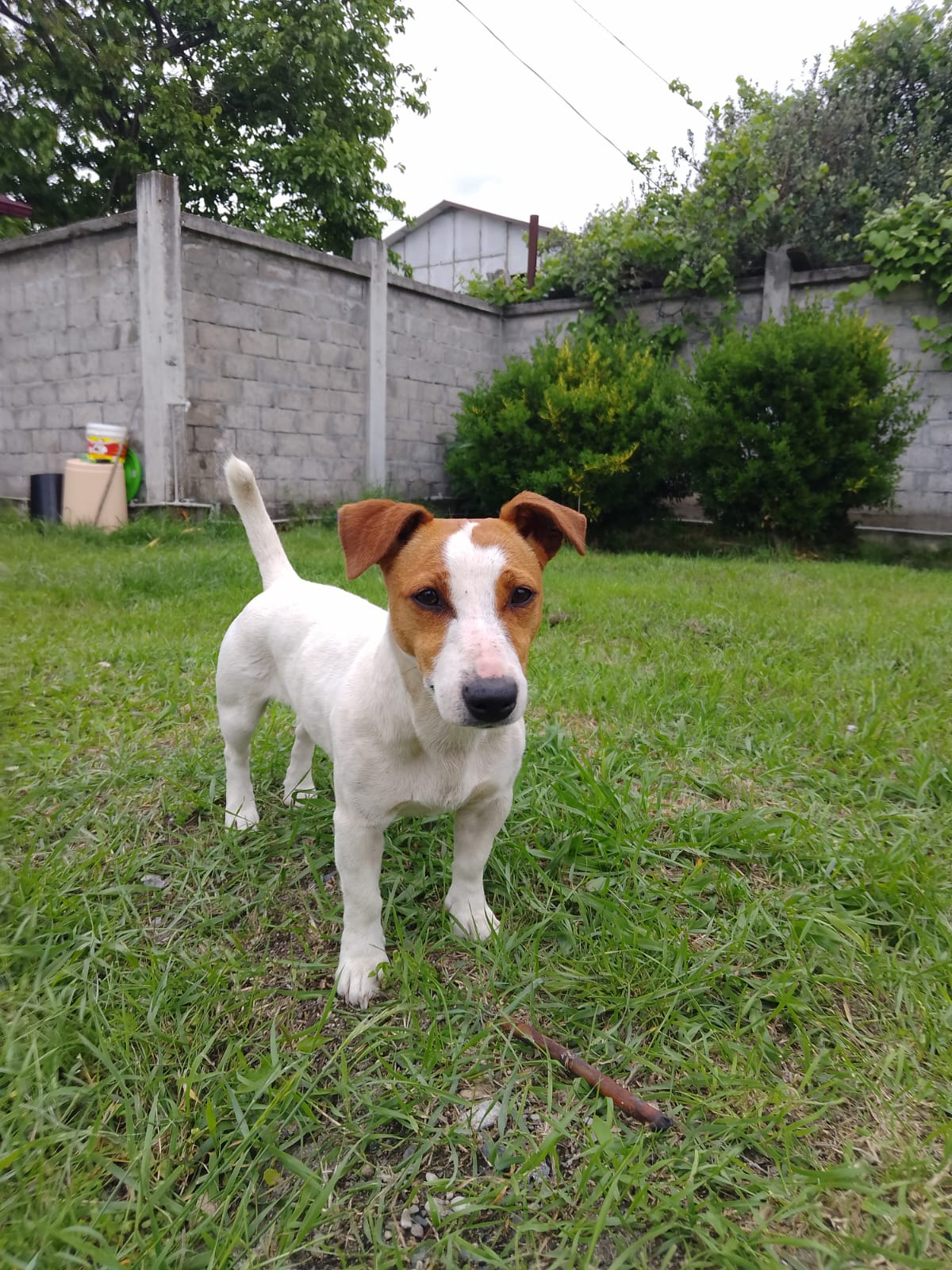 Фото Витторио