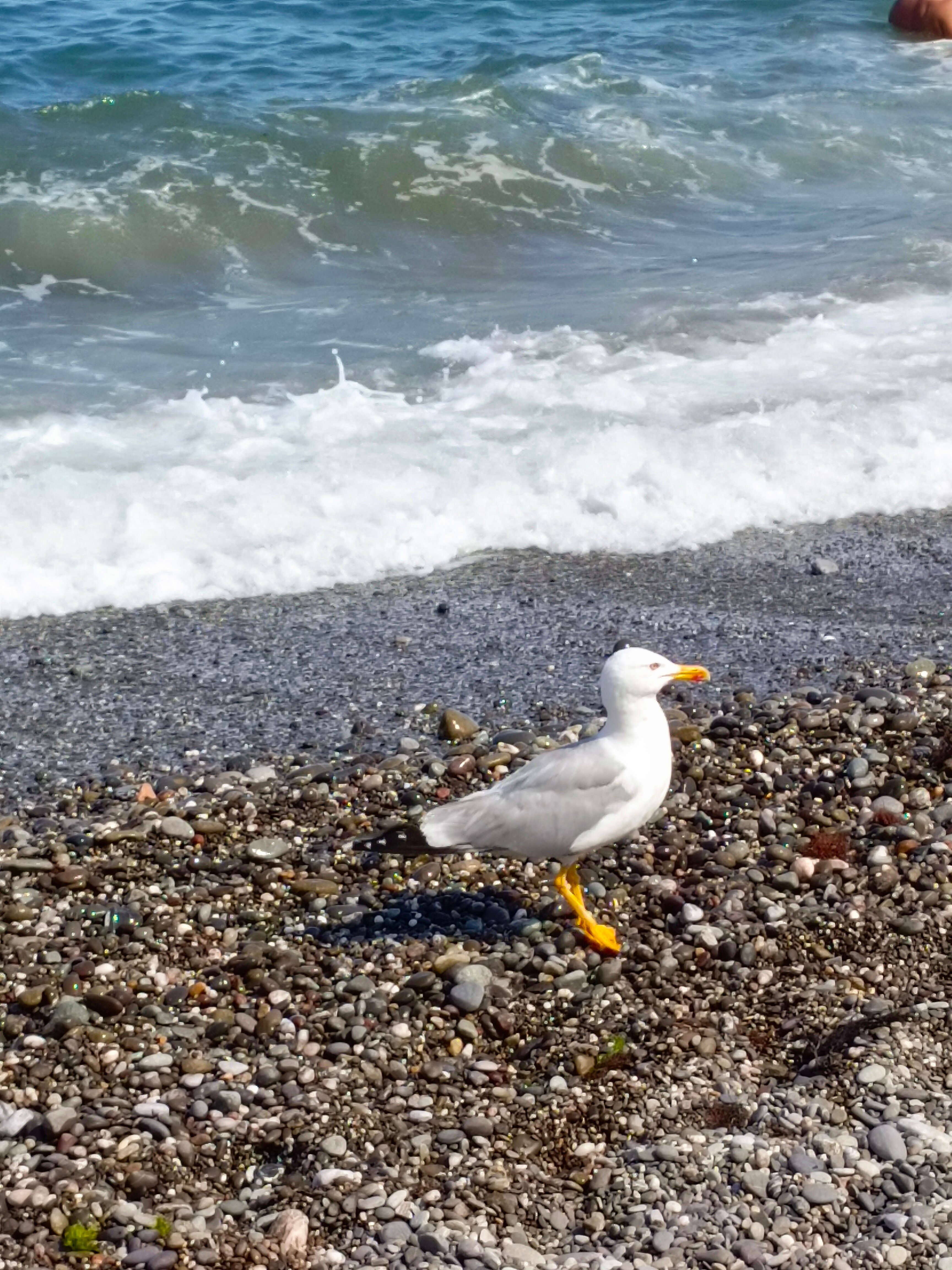 Фото На море хочу