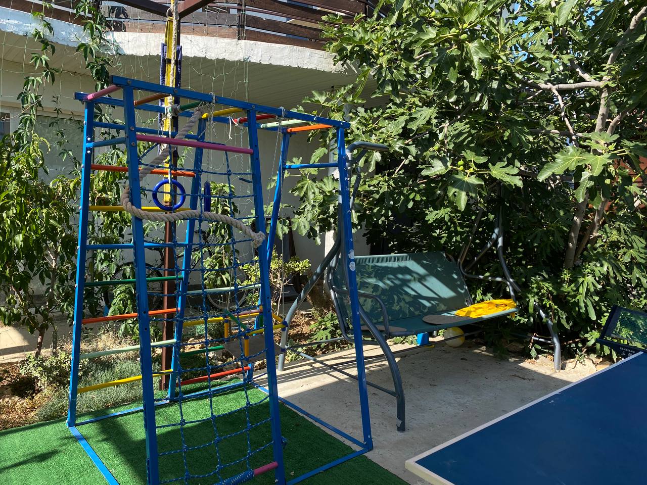 Фото Фиоленто