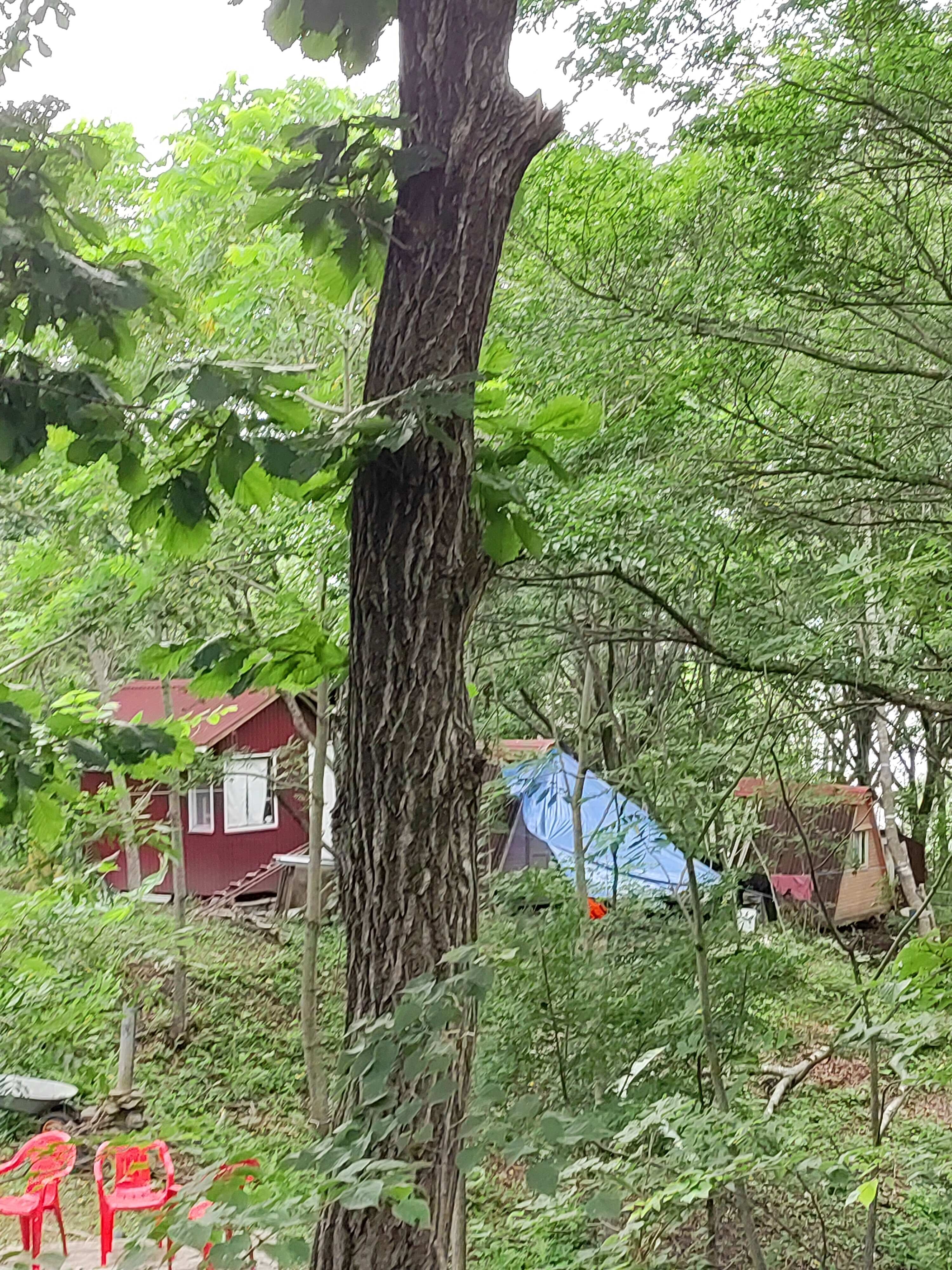 Фото Домик путешественника