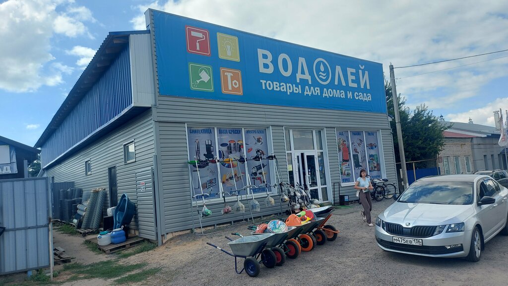 Household goods and chemicals shop Vodoley, Voronezh Oblast, photo