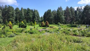 Botanical Garden (Petrozavodsk, Botanicheskaya Street, 40) ، الطبيعة