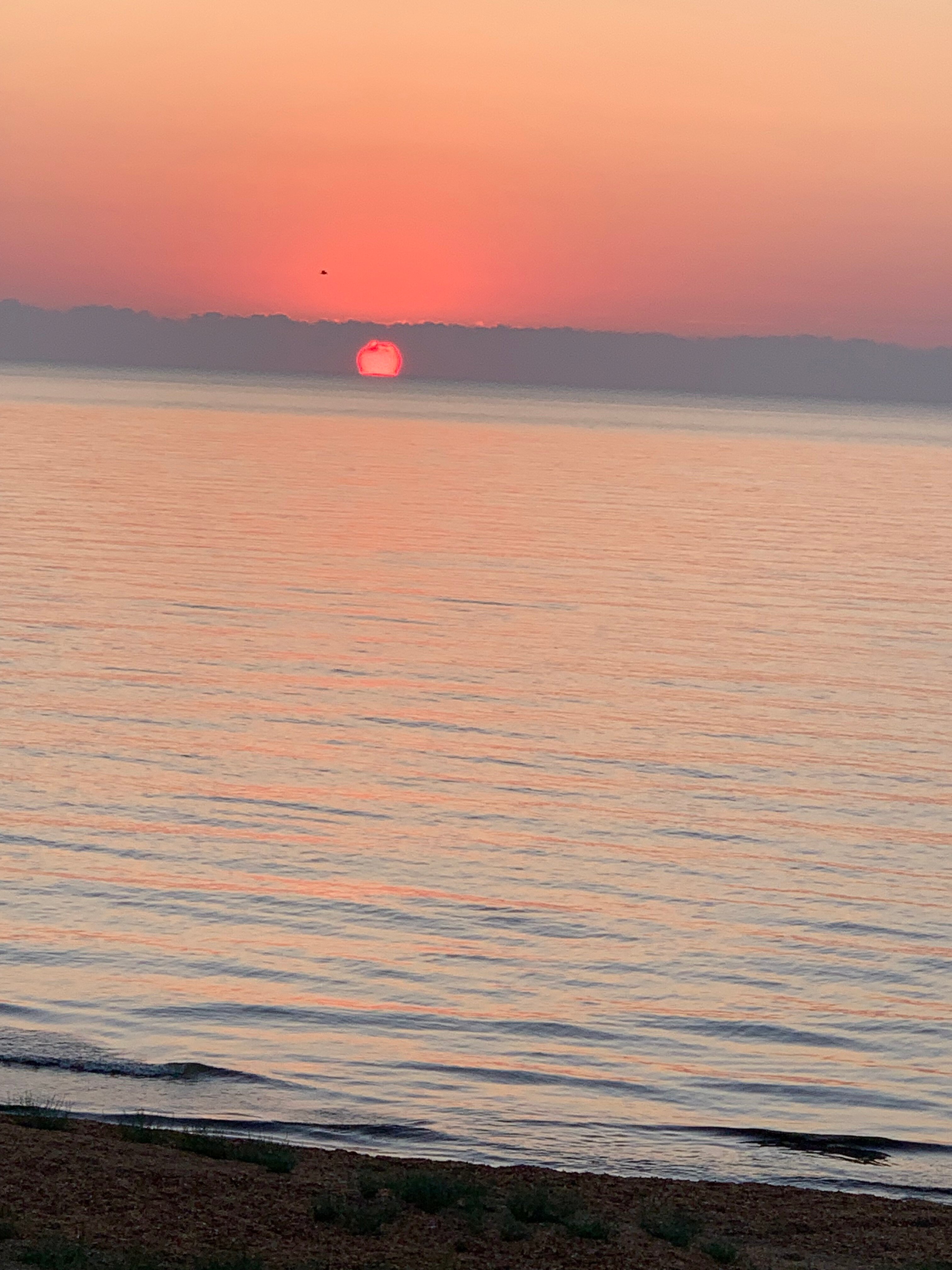 Фото Вилла Оазис