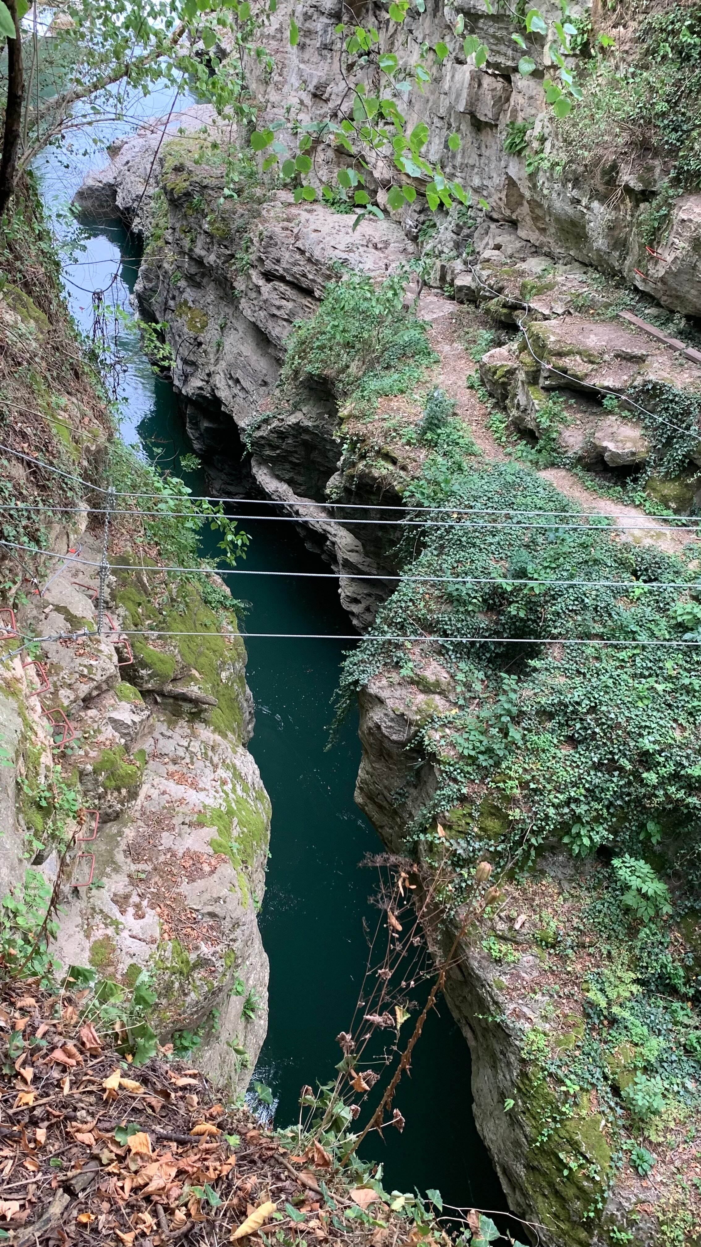 Фото Тихое Счастье