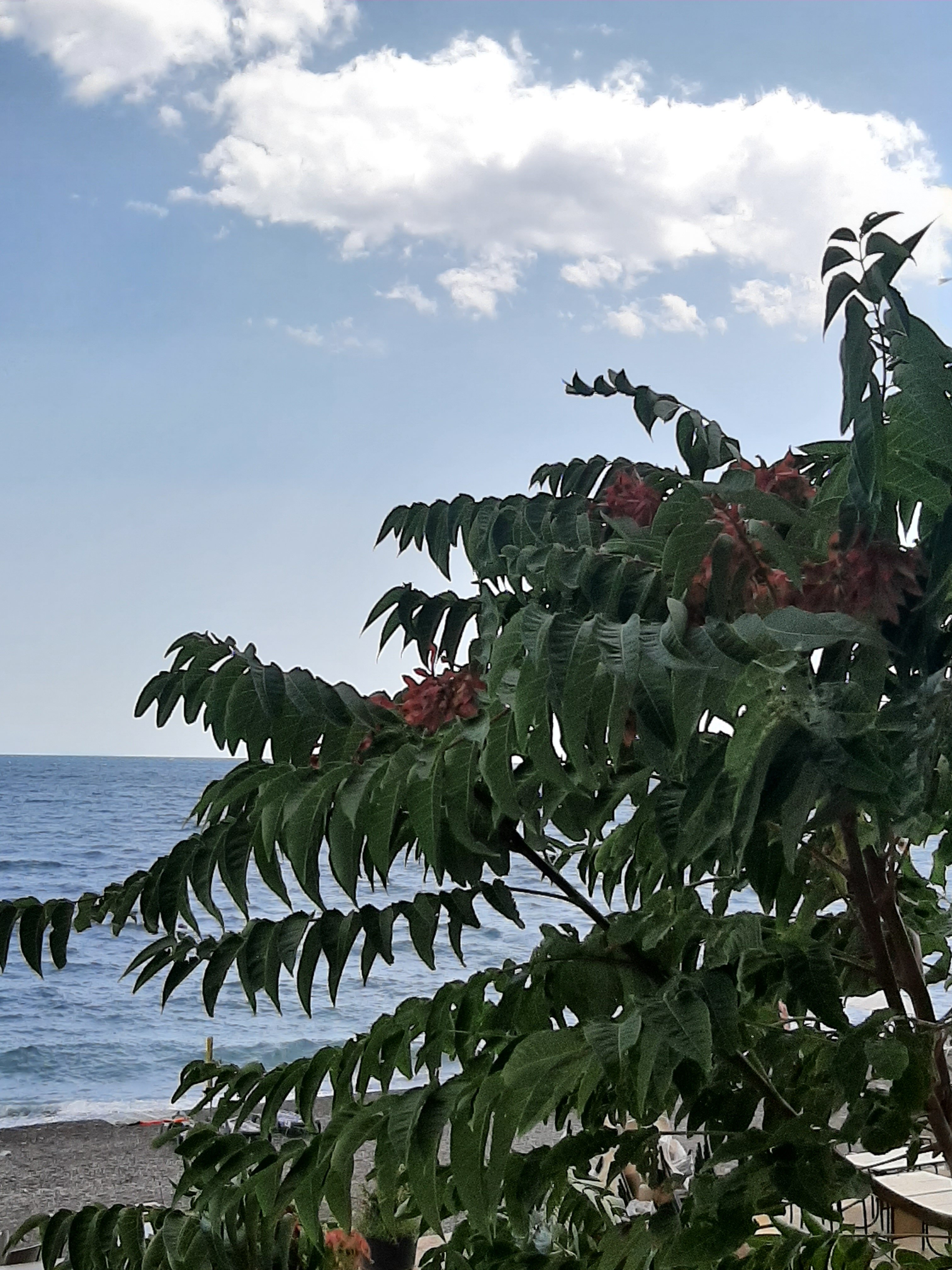 Фото У моря