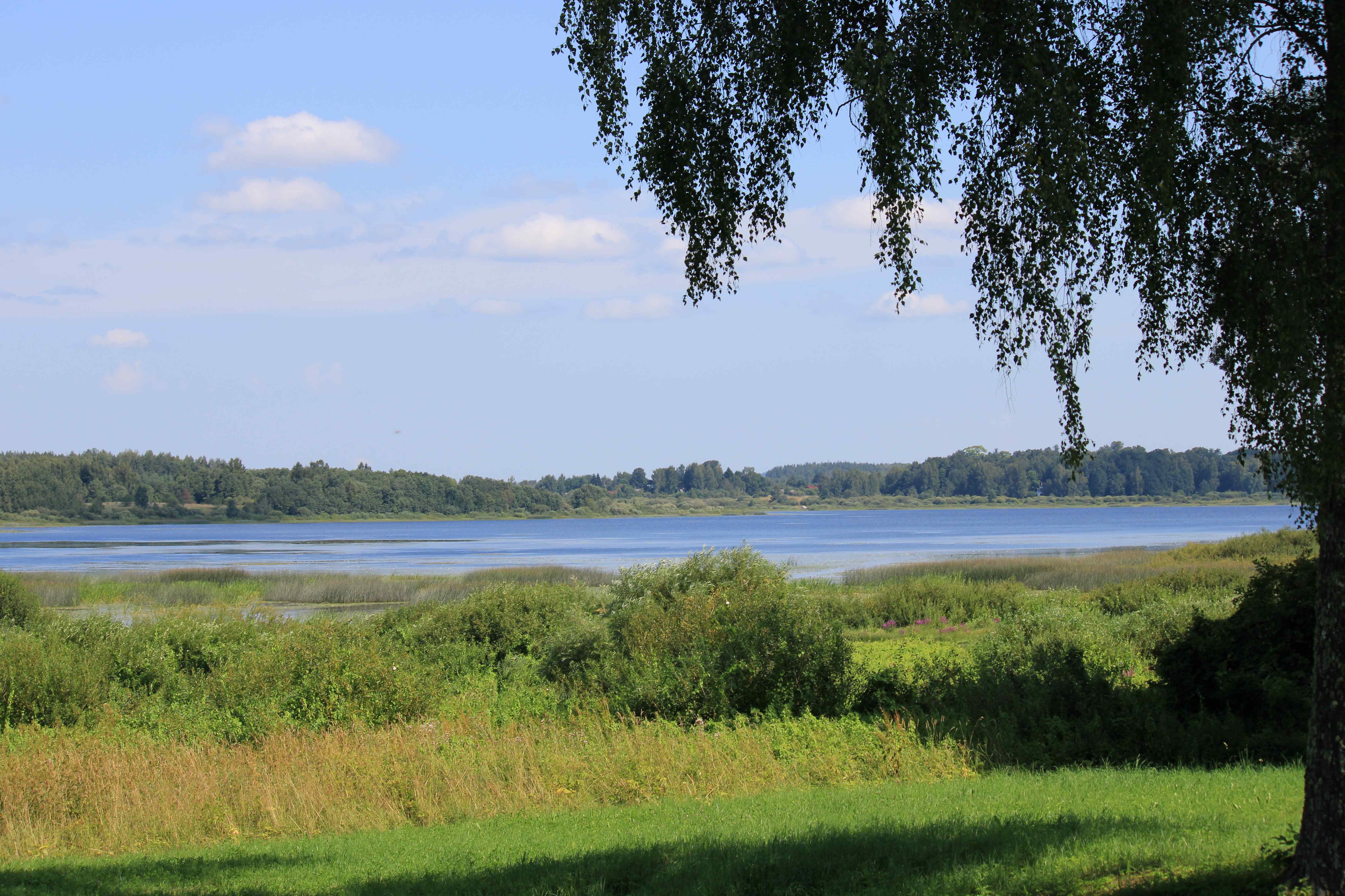 Фото Поместье Загосье