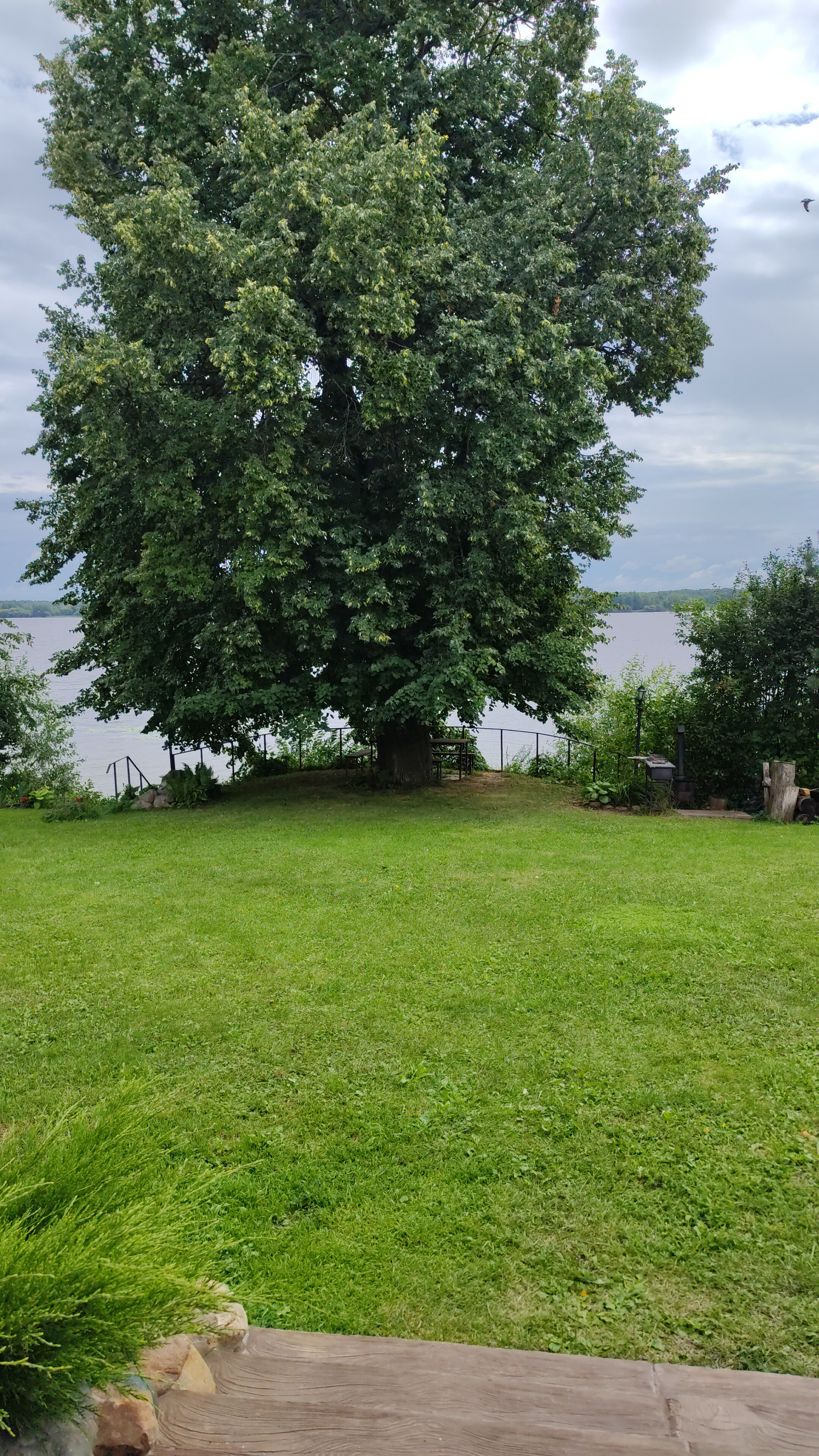 Фото Дом на Волге