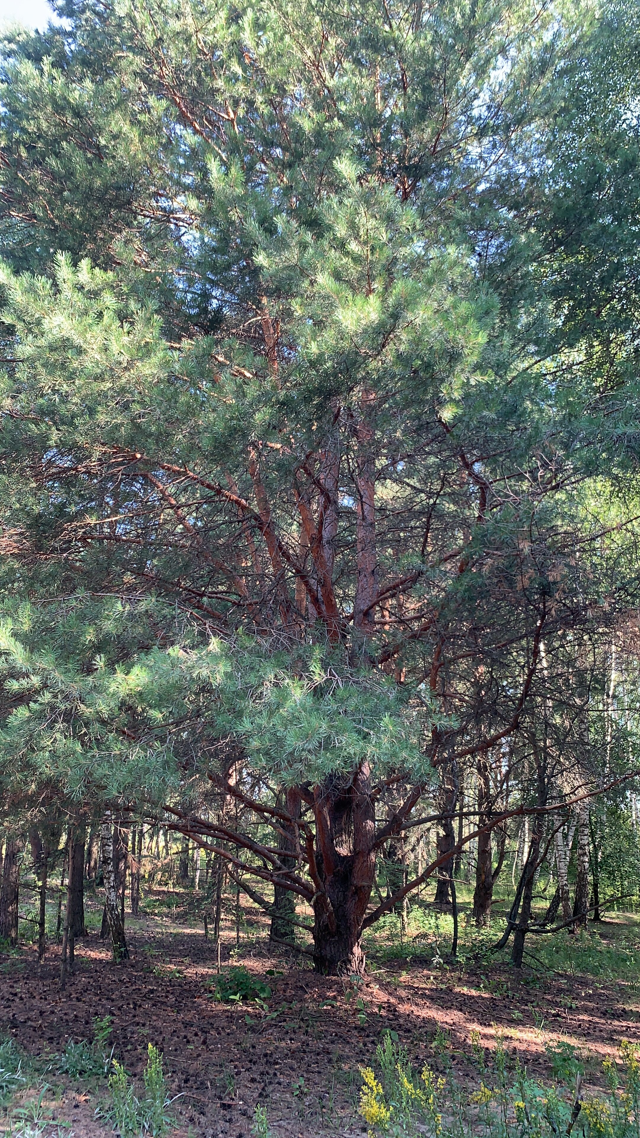 Фото Kravc Group