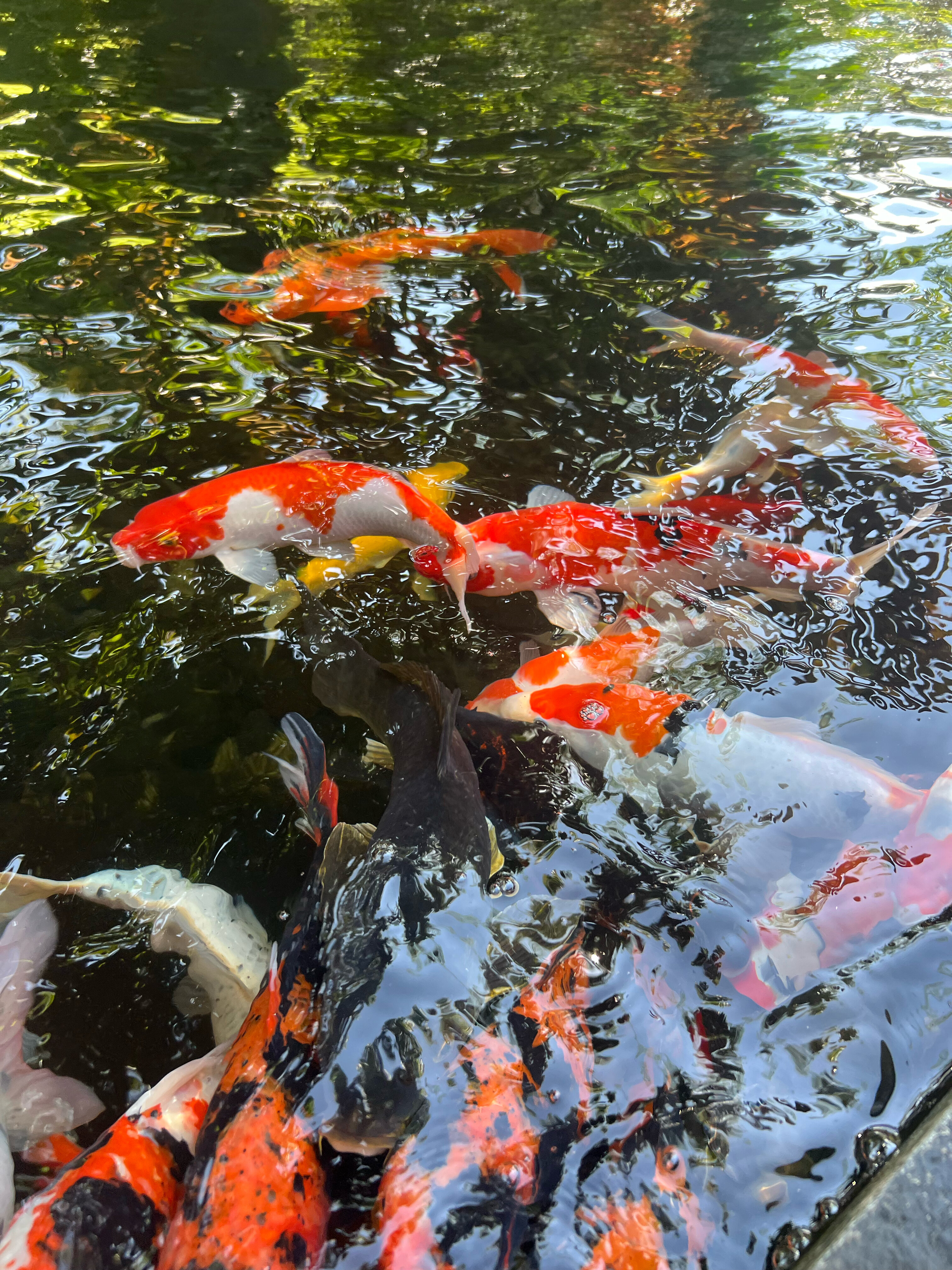 Фото Adiwana Suweta