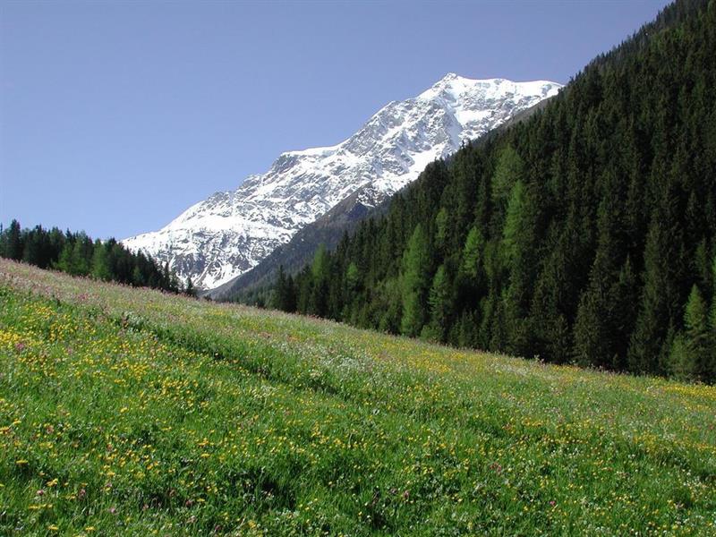 Фото Hotel Stilfserhof